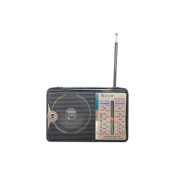 Радиоприемник Golon RX-606AC (173-RX606-40pcn)