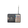 Радиоприемник Golon RX-606AC (173-RX606-40pcn)