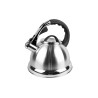 Чайник нержавеющий Maestro 2.8 л MR-1328 MR-1328 (MR-1328)