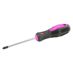 Отвертка Mastertool PZ2 x 100 мм (48-5910)