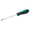 Отвертка Mastertool TT10 x 100 мм (49-0101)