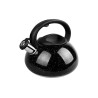Чайник нержавеющий Maestro 3л черный (MR-1316-BLACK)
